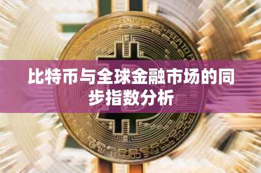 比特币与全球金融市场的同步指数分析