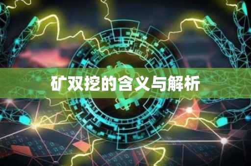 矿双挖的含义与解析