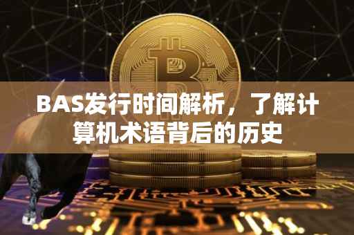 BAS发行时间解析，了解计算机术语背后的历史
