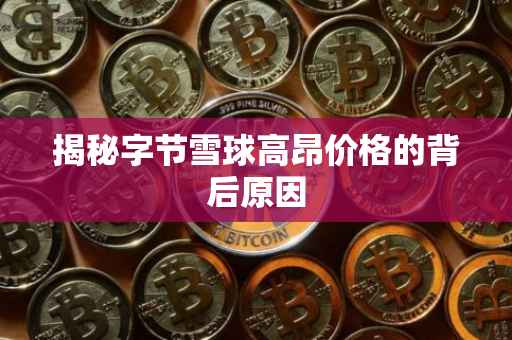 揭秘字节雪球高昂价格的背后原因