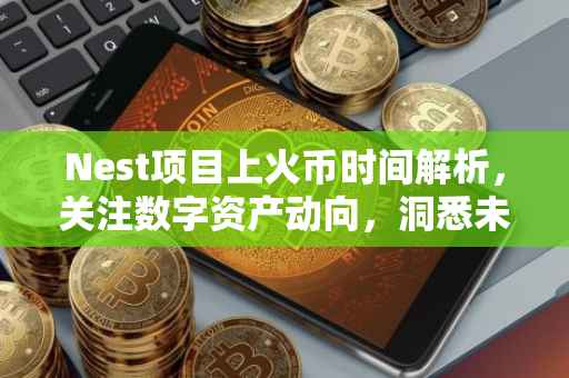 Nest项目上火币时间解析，关注数字资产动向，洞悉未来趋势