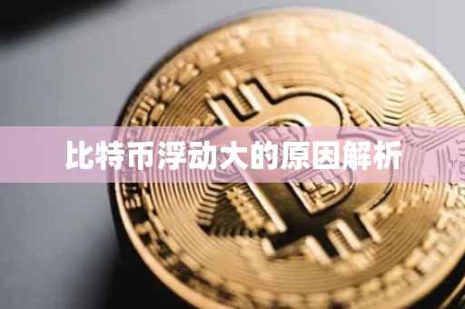 比特币浮动大的原因解析