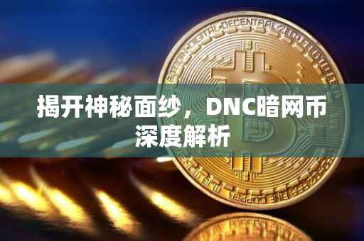 揭开神秘面纱，DNC暗网币深度解析