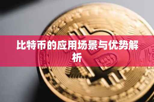 比特币的应用场景与优势解析