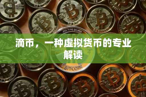 滴币，一种虚拟货币的专业解读