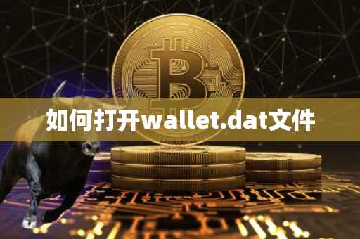 如何打开wallet.dat文件