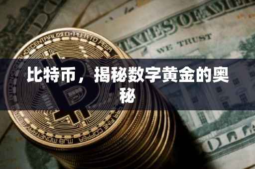 比特币，揭秘数字黄金的奥秘