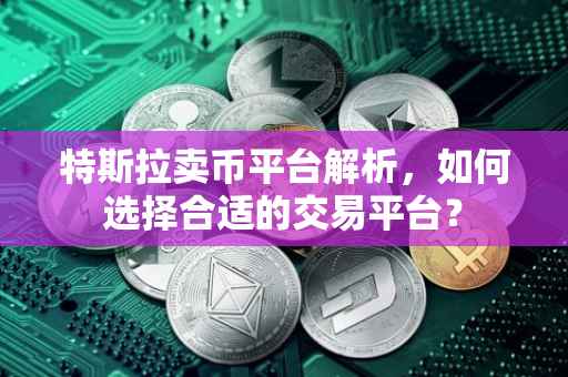 特斯拉卖币平台解析，如何选择合适的交易平台？