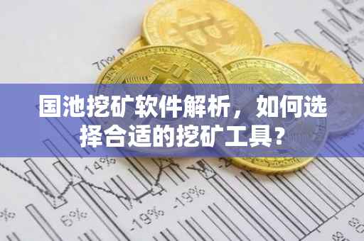 国池挖矿软件解析，如何选择合适的挖矿工具？