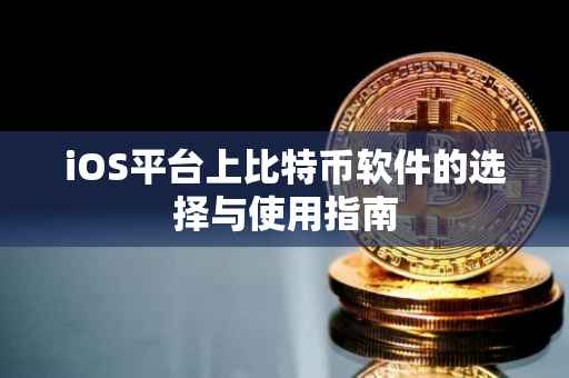 iOS平台上比特币软件的选择与使用指南