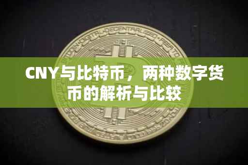 CNY与比特币，两种数字货币的解析与比较