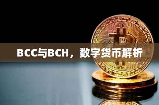 BCC与BCH，数字货币解析
