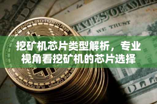 挖矿机芯片类型解析，专业视角看挖矿机的芯片选择