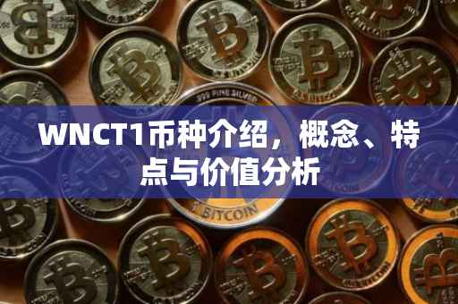 WNCT1币种介绍，概念、特点与价值分析