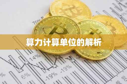 算力计算单位的解析