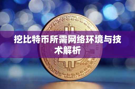 挖比特币所需网络环境与技术解析