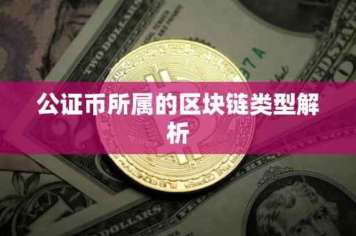 公证币所属的区块链类型解析