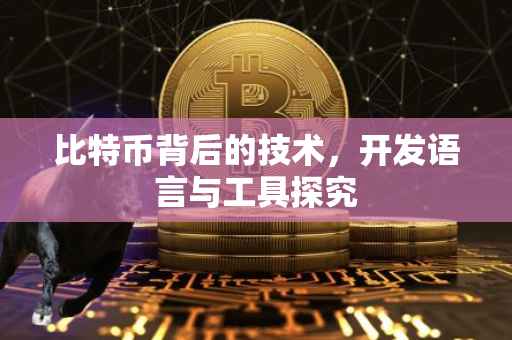 比特币背后的技术，开发语言与工具探究