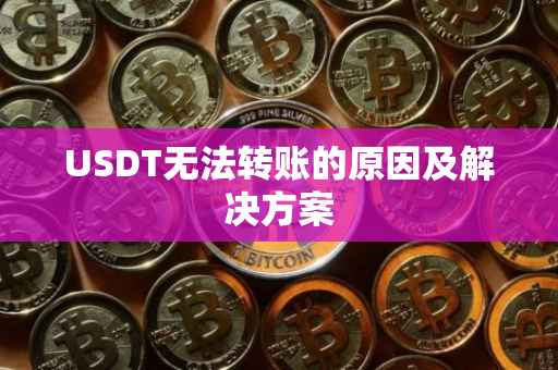 USDT无法转账的原因及解决方案