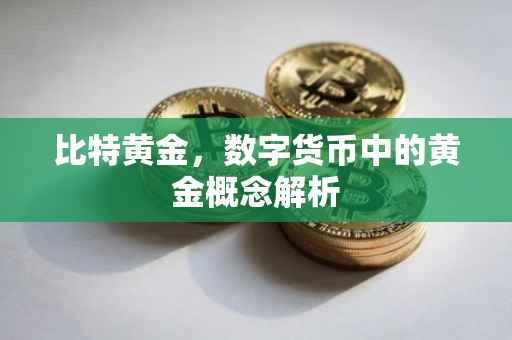 比特黄金，数字货币中的黄金概念解析