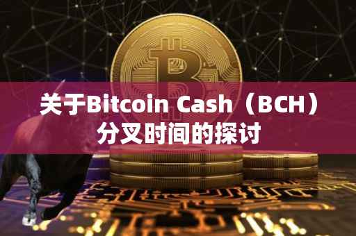 关于Bitcoin Cash（BCH）分叉时间的探讨
