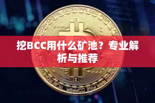 挖BCC用什么矿池？专业解析与推荐