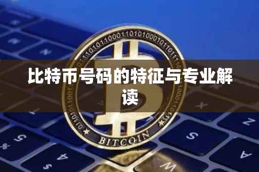 比特币号码的特征与专业解读