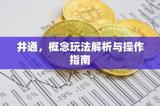 井通，概念玩法解析与操作指南