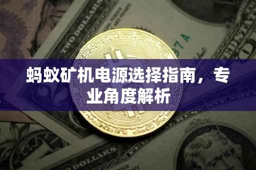 蚂蚁矿机电源选择指南，专业角度解析
