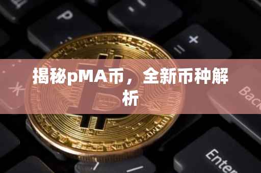 揭秘pMA币，全新币种解析