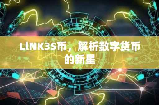 LlNK3S币，解析数字货币的新星