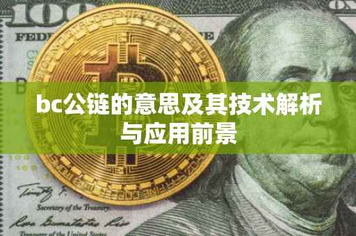 bc公链的意思及其技术解析与应用前景