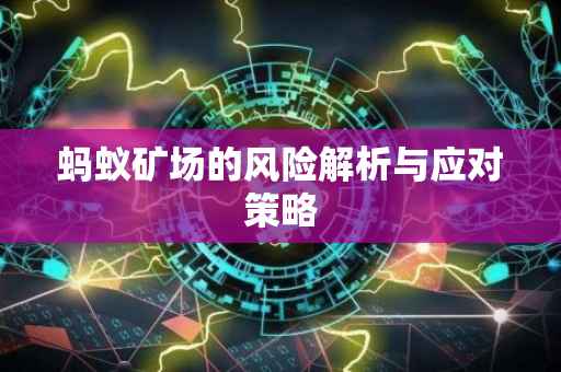 蚂蚁矿场的风险解析与应对策略