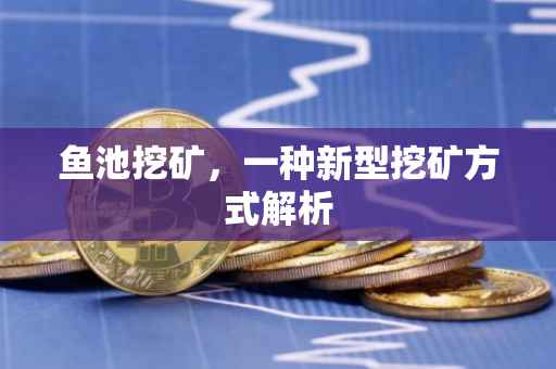 鱼池挖矿，一种新型挖矿方式解析
