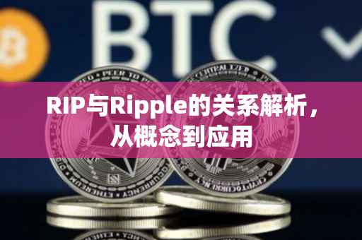 RIP与Ripple的关系解析,从概念到应用