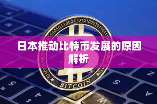 日本推动比特币发展的原因解析
