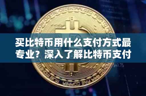 买比特币用什么支付方式最专业?深入了解比特币支付流程