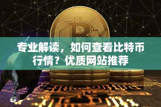 专业解读，如何查看比特币行情？优质网站推荐