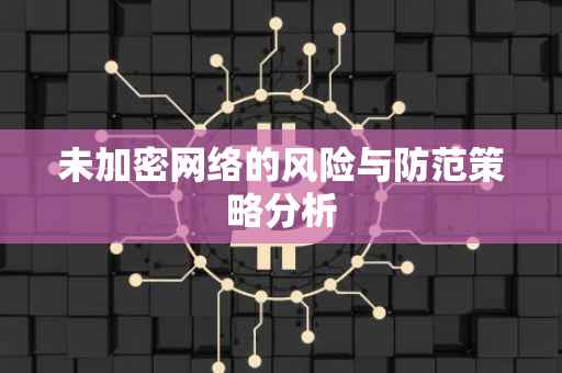 未加密网络的风险与防范策略分析