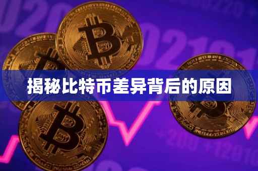 揭秘比特币差异背后的原因