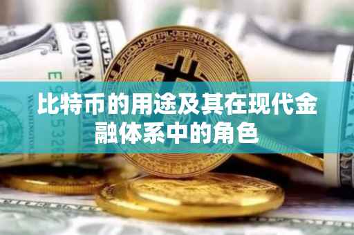 比特币的用途及其在现代金融体系中的角色