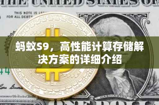 蚂蚁S9，高性能计算存储解决方案的详细介绍