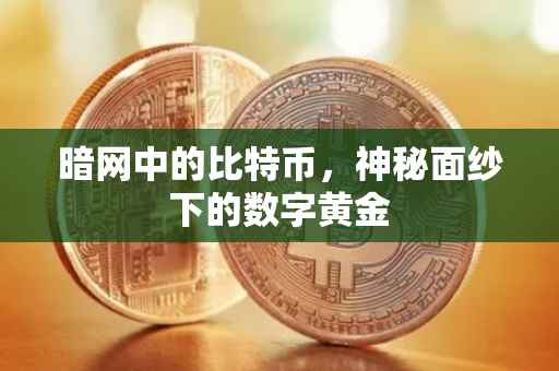 暗网中的比特币，神秘面纱下的数字黄金