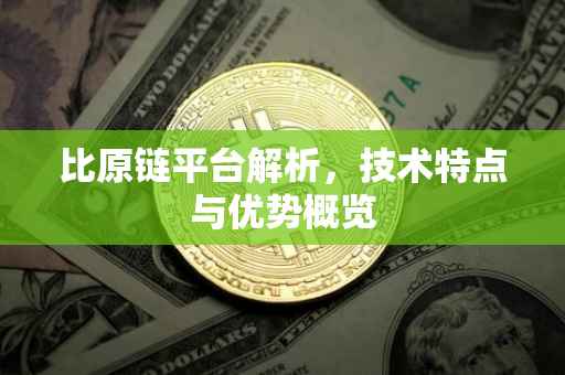 比原链平台解析，技术特点与优势概览