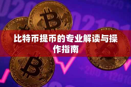 比特币提币的专业解读与操作指南