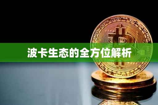波卡生态的全方位解析