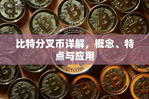 比特分叉币详解，概念、特点与应用