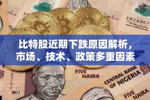 比特股近期下跌原因解析，市场、技术、政策多重因素影响