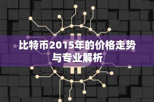 比特币2015年的价格走势与专业解析