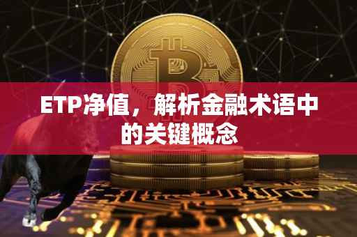 ETP净值，解析金融术语中的关键概念